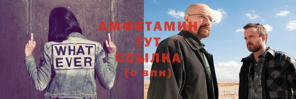 спиды Богородицк