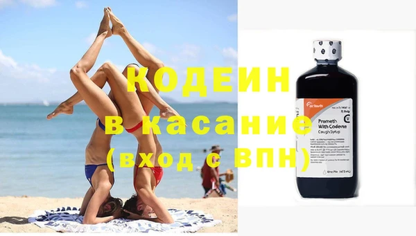 спиды Богородицк