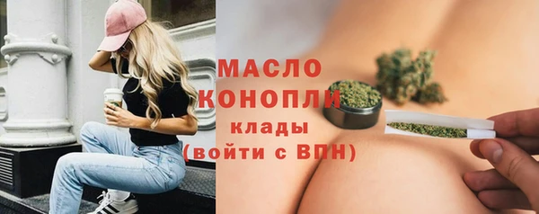 спиды Богородицк