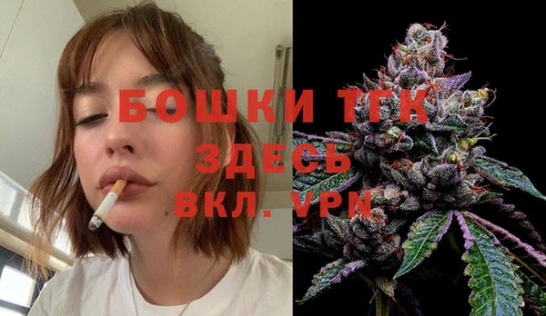 спиды Богородицк