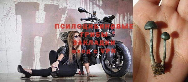 спиды Богородицк