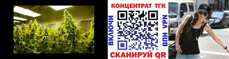 ТГК THC oil Колпашево